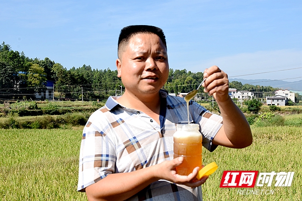 【丰收时节】沈国新:养蜂脱贫致富 酿造"甜蜜生活"